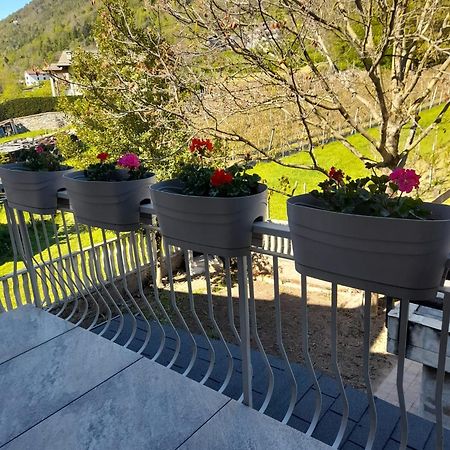 La Casetta Di Campagna Mazzo di Valtellina Zewnętrze zdjęcie